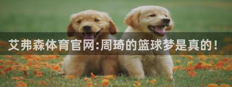 威九国际app官网下载：艾弗森体育官网:周琦的篮球梦是真的！