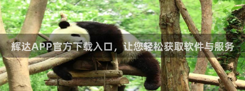 威九国际app官网下载苹果：辉达APP官方下载入口，让您轻松获取软件与服务
