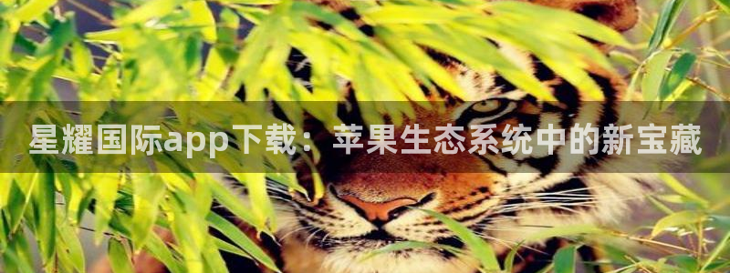 壹号大舞台有梦你就来：星耀国际app下载：苹果生态系统中的新宝藏
