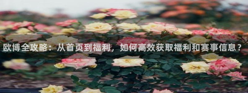 壹号电子娱乐app下载官网