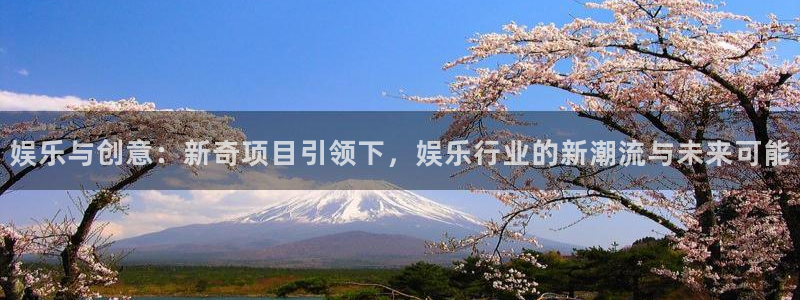 壹号电子娱乐app下载安装最新版本