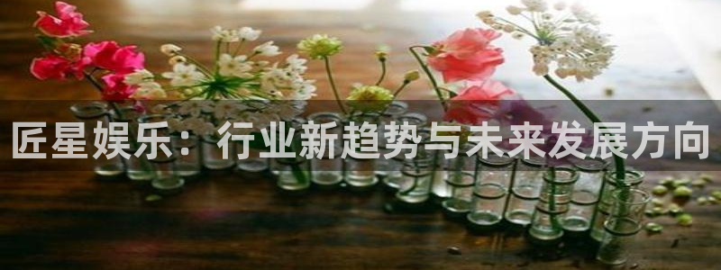 壹号app下载苹果
