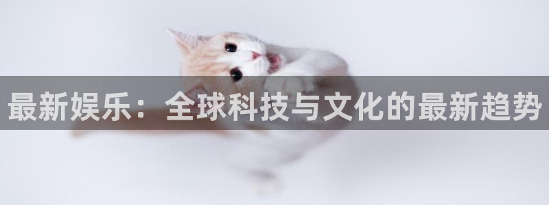 壹号top娱乐