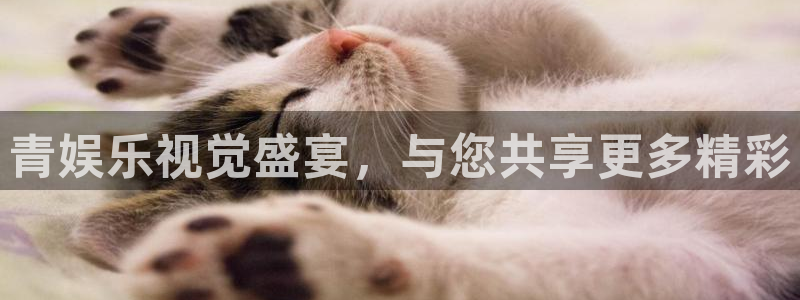 壹号大舞台下载