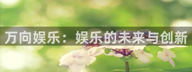 壹号大舞台怎么注册：万向娱乐：娱乐的未来与创新