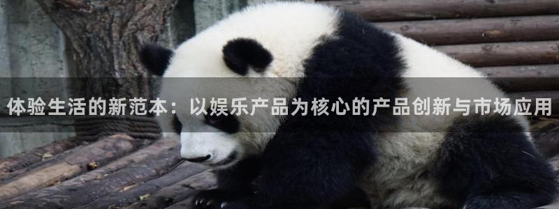 壹号国际app免费下载安装：体验生活的新范本：以娱乐产品为核心的产品创新与市场应用