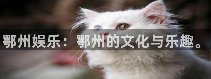壹号电子娱乐app下载最新版本：鄂州娱乐：鄂州的文化与乐趣。