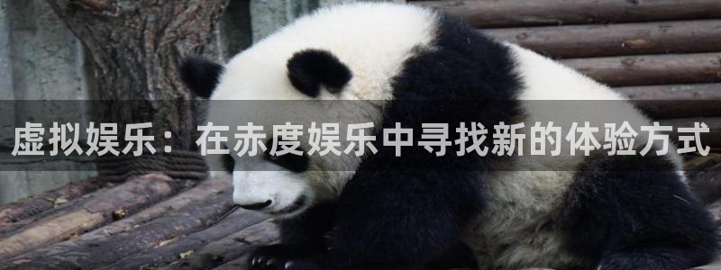 壹号平台app下载安装：虚拟娱乐：在赤度娱乐中寻找新的体验方式