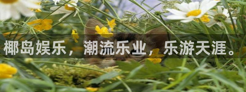 壹号电子娱乐app下载安装最新版本：椰岛娱乐，潮流乐业，乐游天涯。
