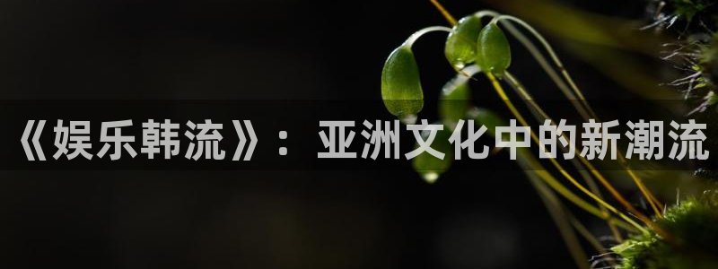下载威九国际app