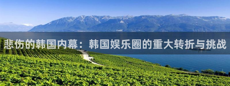壹号电子娱乐app下载官网