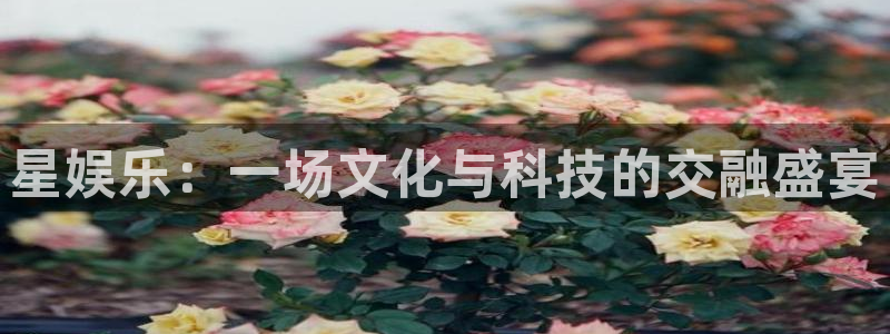 威九国际官网