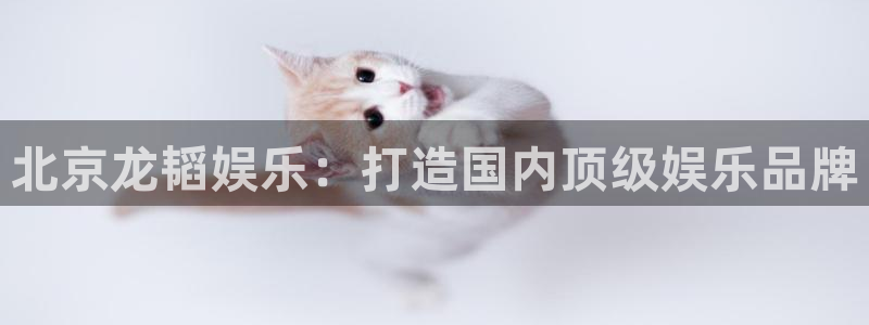 壹号大舞台,有梦你就来：北京龙韬娱乐：打造国内顶级娱乐品牌
