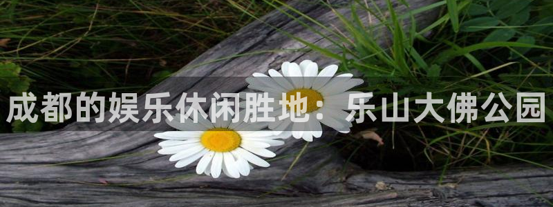 壹号app官网版下载