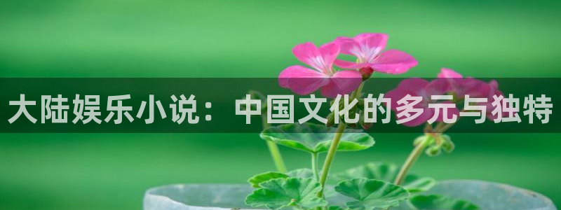 壹号平台下载：大陆娱乐小说：中国文化的多元与独特