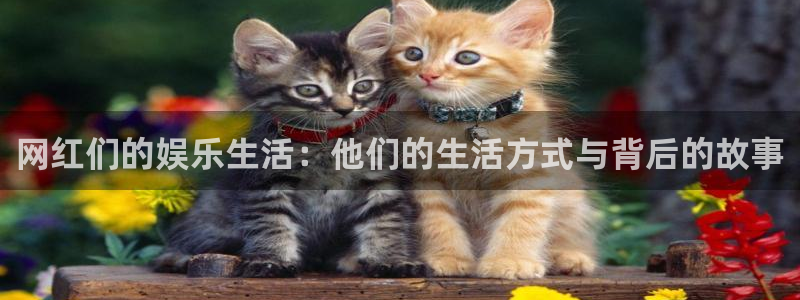 壹号app官方登录入口下载