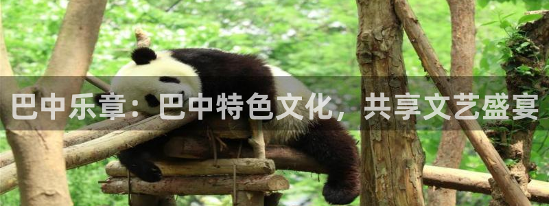 威九国际吧：巴中乐章：巴中特色文化，共享文艺盛宴