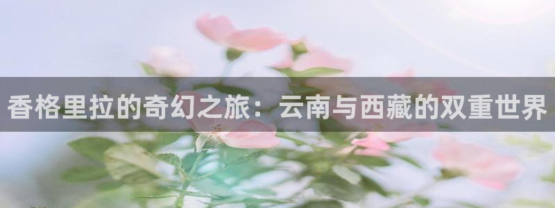 壹号大舞台：香格里拉的奇幻之旅：云南与西藏的双重世界