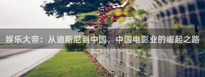 壹号平台下载：娱乐大帝：从迪斯尼到中国，中国电影业的崛起之路