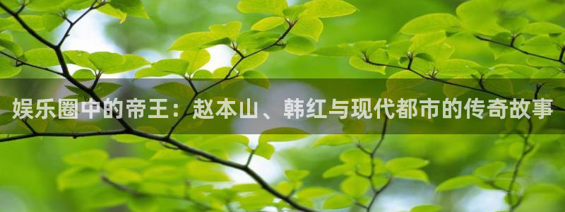 壹号大舞台入口：娱乐圈中的帝王：赵本山、韩红与现代都市的传奇故事