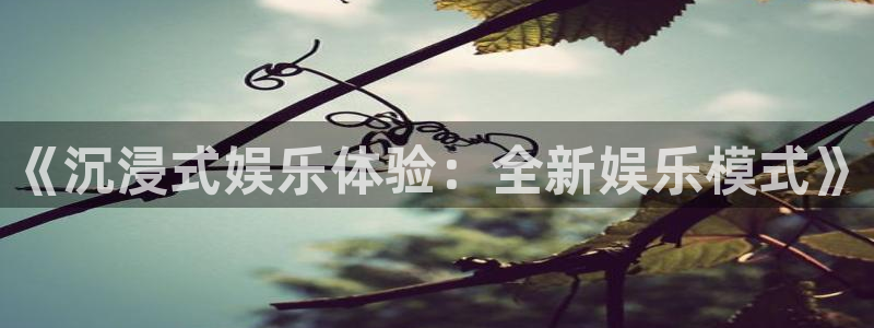 壹号大舞台：《沉浸式娱乐体验：全新娱乐模式》