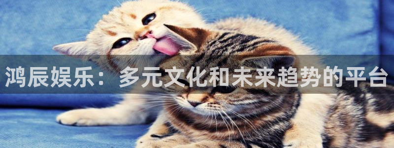 威九国际下载：鸿辰娱乐：多元文化和未来趋势的平台