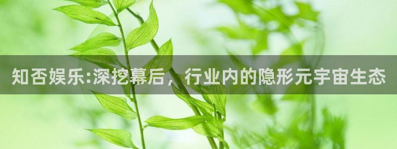 威九国际-ng大舞台,有梦你就来：知否娱乐:深挖幕后，行业内的隐形元宇宙生态