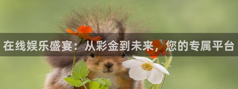 壹号国际app免费下载安装：在线娱乐盛宴：从彩金到未来，您的专属平台