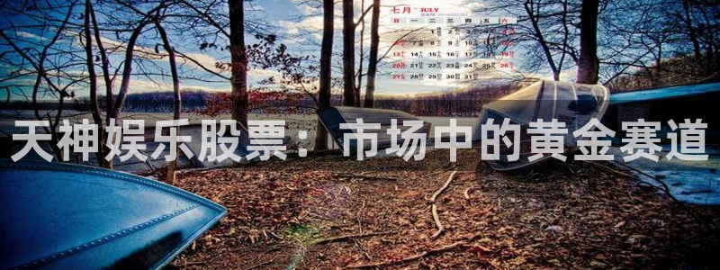 壹号大舞台下载链接：天神娱乐股票：市场中的黄金赛道