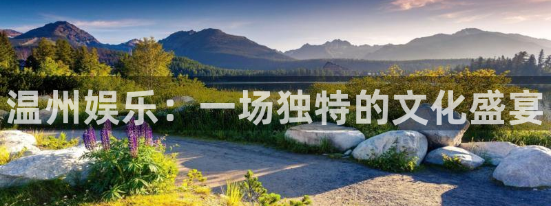壹号app下载官网娱乐：温州娱乐：一场独特的文化盛宴